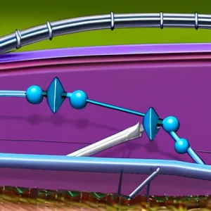 Механизм действия ингибиторов коррозии анодного, катодного и смешанного типа